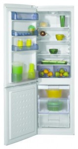 Холодильник BEKO CSA 29010 Фото
