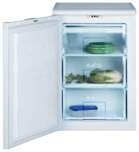 Холодильник BEKO FNE 1070 Фото