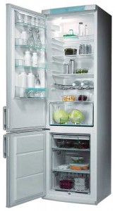 Холодильник Electrolux ERB 9043 фото