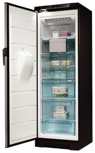 Kühlschrank Electrolux EUFG 2900 X Foto