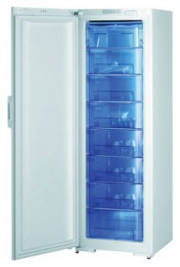 Buzdolabı Gorenje F 60300 DW fotoğraf