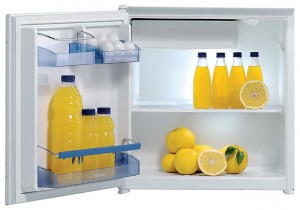 Kühlschrank Gorenje RBI 4098 W Foto