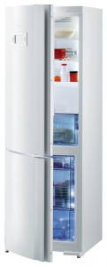 Buzdolabı Gorenje RK 67325 W fotoğraf