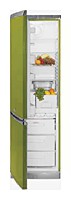 Kühlschrank Hotpoint-Ariston ERFV 402X GR Foto