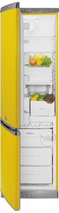 Kühlschrank Hotpoint-Ariston ERFV 402XYW Foto