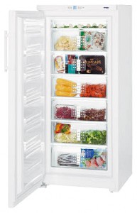 Холодильник Liebherr G 3013 фото