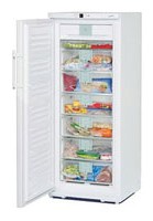 Холодильник Liebherr GN 2956 фото