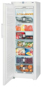 Холодильник Liebherr GNP 3056 фото