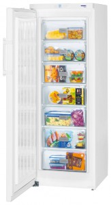 Холодильник Liebherr GP 2733 фото