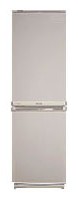 Kühlschrank Samsung RL-17 MBMS Foto
