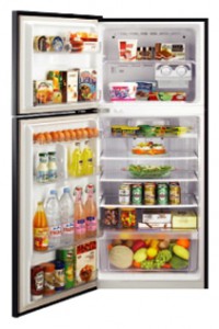 Kühlschrank Samsung RT-45 USGL Foto