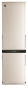 Kühlschrank Sharp SJ-WM371TB Foto