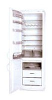 Ψυγείο Snaige RF390-1763A φωτογραφία