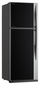 Kühlschrank Toshiba GR-RG59FRD GU Foto