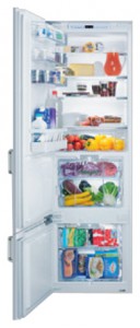 Kühlschrank V-ZUG KCi-r Foto