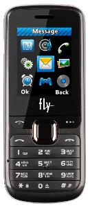 携帯電話 Fly DS108 写真