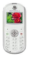 Стільниковий телефон Motorola W200 фото