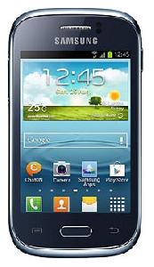 Стільниковий телефон Samsung Galaxy Young GT-S6310 фото