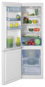 Холодильник BEKO CS 332020 Фото