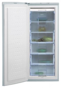 Холодильник BEKO FSA 21320 Фото