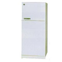 Холодильник Daewoo Electronics FR-490 Фото