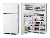 Kühlschrank Frigidaire FGTG 16V6 A Foto