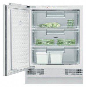 Buzdolabı Gaggenau RF 200-200 fotoğraf