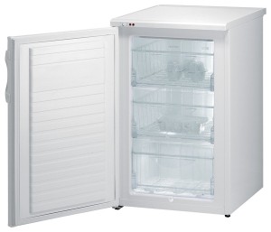 Холодильник Gorenje F 3090 AW фото