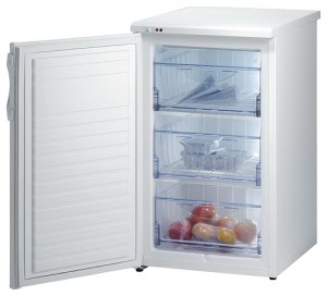 Холодильник Gorenje F 50106 W Фото