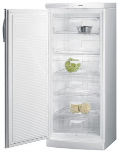 Buzdolabı Gorenje F 6248 W fotoğraf