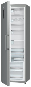 Холодильник Gorenje R 6191 SX фото