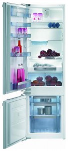 Холодильник Gorenje RKI 55295 Фото