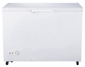 Холодильник Hisense FC-34DD4SA Фото