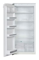 Buzdolabı Kuppersbusch IKE 248-6 fotoğraf