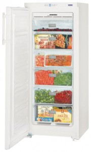 Kjøleskap Liebherr GNP 2303 Bilde