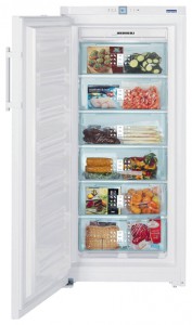 Холодильник Liebherr GNP 3166 Фото