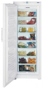 Buzdolabı Liebherr GNP 4156 fotoğraf