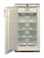 Холодильник Liebherr GSN 2023 Фото