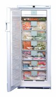 Холодильник Liebherr GSND 2923 фото