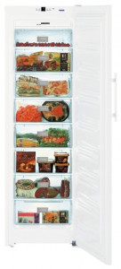Холодильник Liebherr SGN 3063 фото