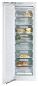 Холодильник Miele FN 9752 I фото
