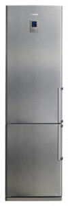 Kühlschrank Samsung RL-41 ECIS Foto