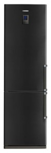 Kühlschrank Samsung RL-41 ECTB Foto