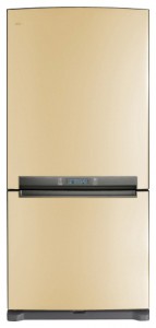 冰箱 Samsung RL-62 ZBVB 照片