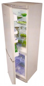 Kühlschrank Snaige RF31SH-S1DD01 Foto