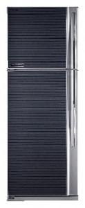 Kühlschrank Toshiba GR-MG54RD GB Foto