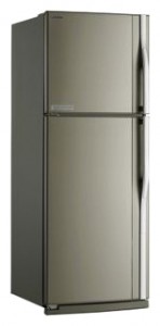 Buzdolabı Toshiba GR-R59FTR CX fotoğraf