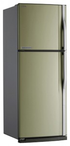 Buzdolabı Toshiba GR-R59FTR SC fotoğraf