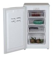Kühlschrank WEST FR-1001 Foto