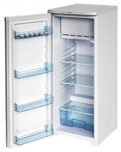 Kühlschrank Бирюса R110CA Foto